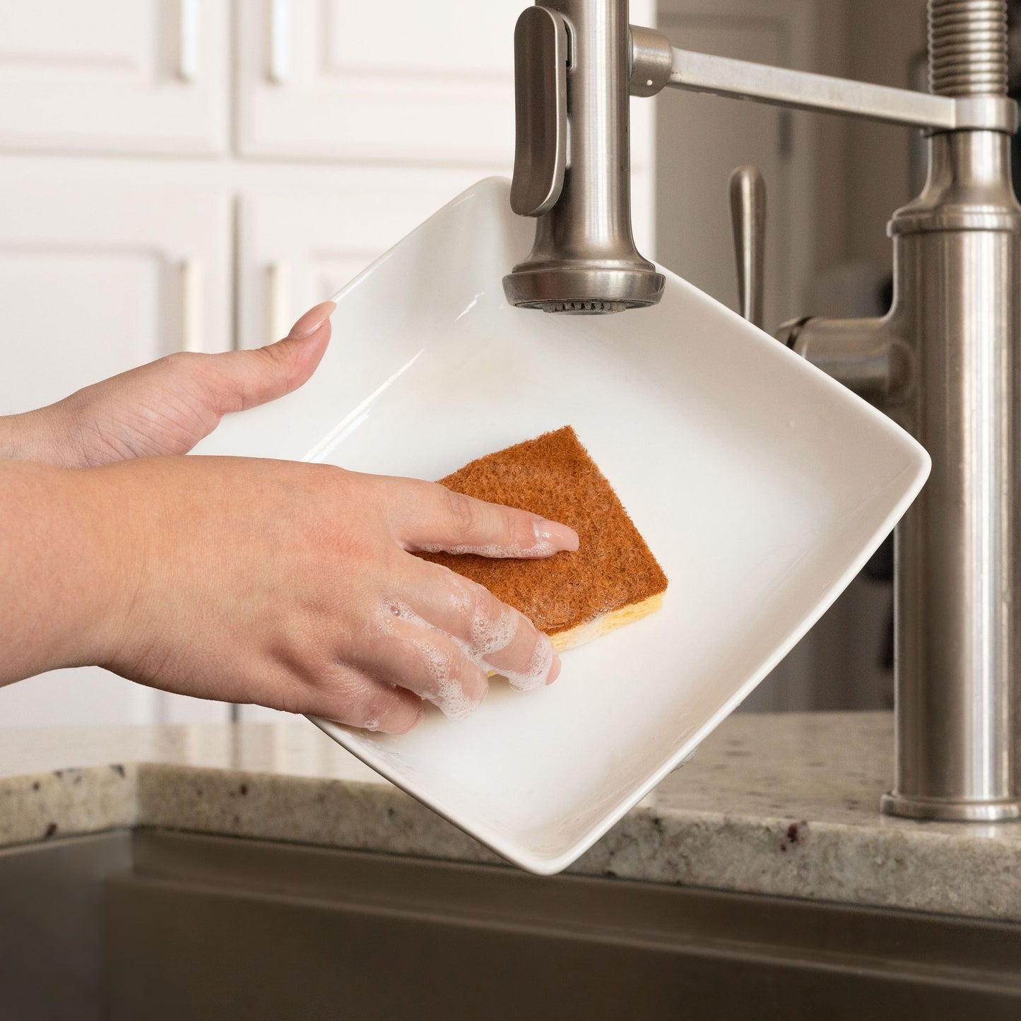 Cellulose Sponge + Coconut Scouring Pad