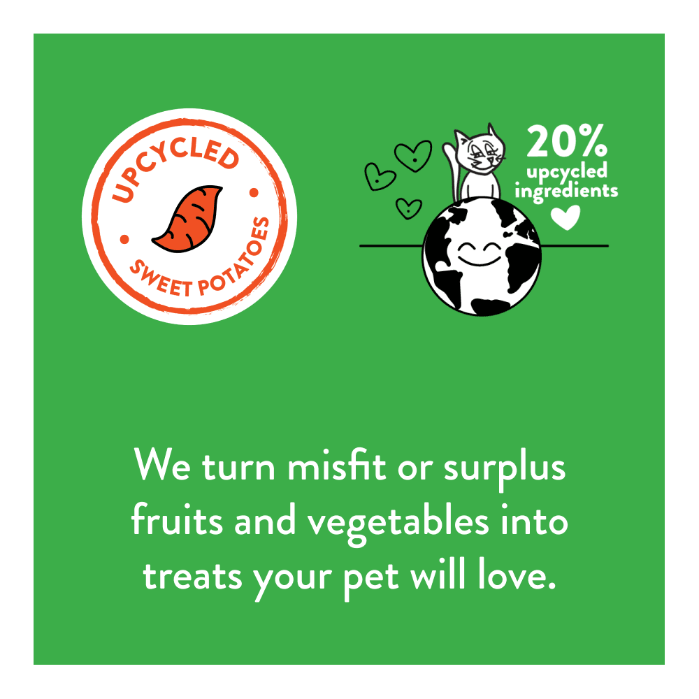 2 Pack - Upcycled Cat Treats Recycled Plastic Packaging