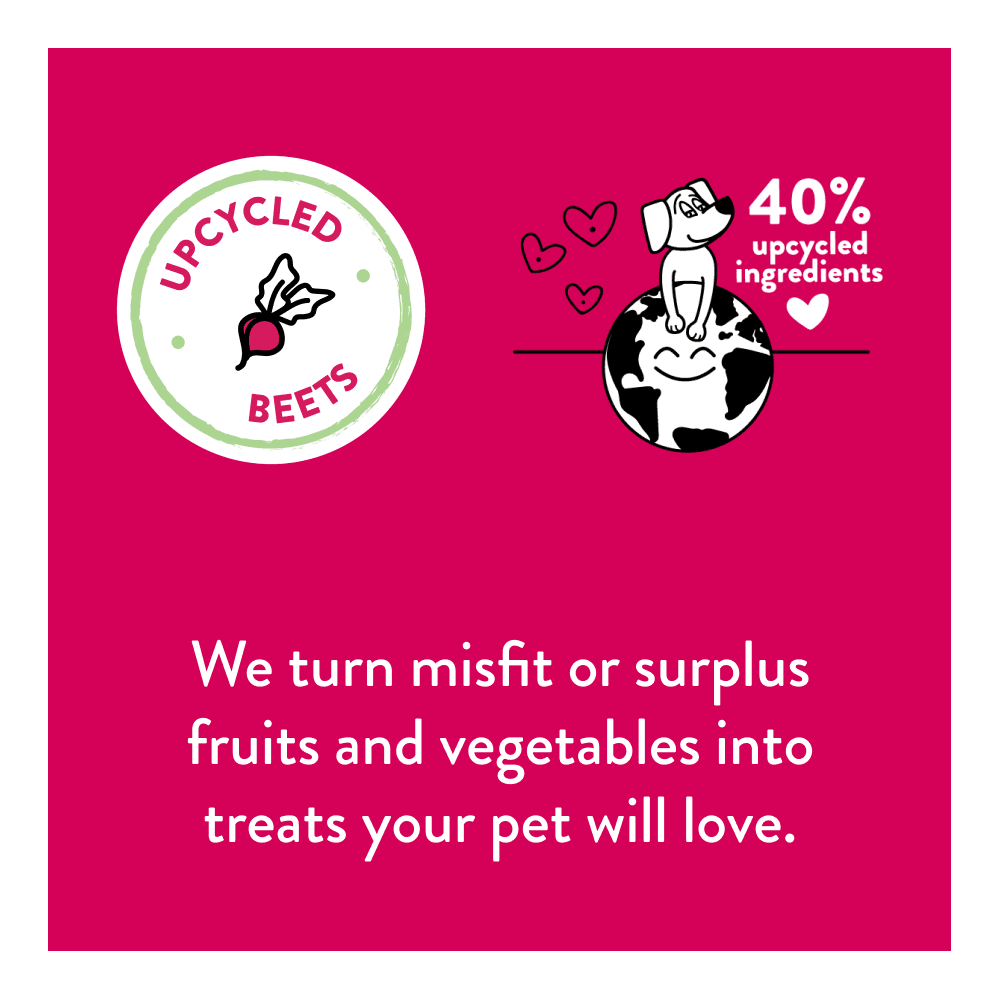 Upcycled Dog Biscuits In Recycled Bag