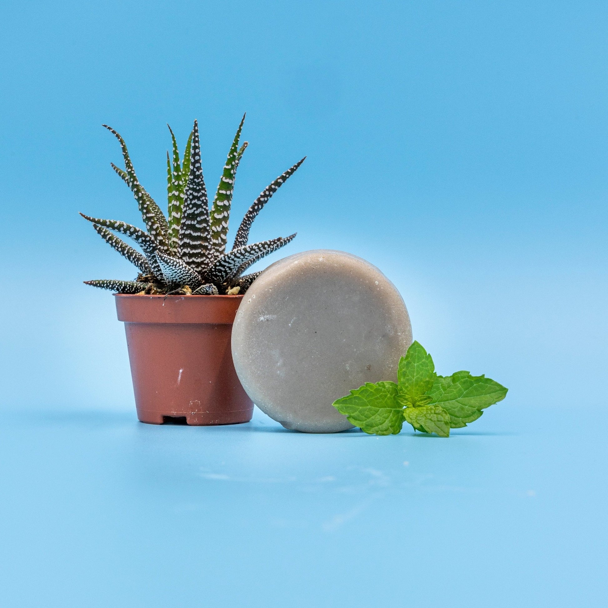 Mint & Aloe Shaving Soap Bar