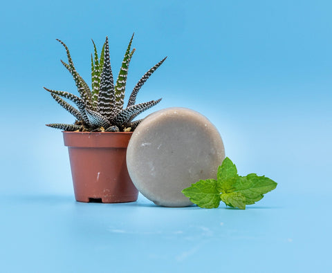 Mint & Aloe Shaving Soap Bar