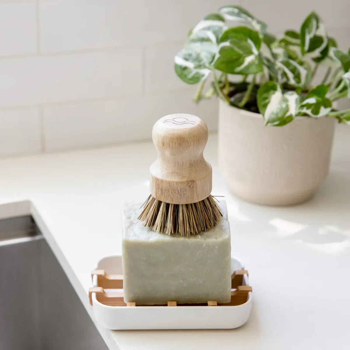 plant pot brush Plastic Free Pot Brush – Ecoternatives
