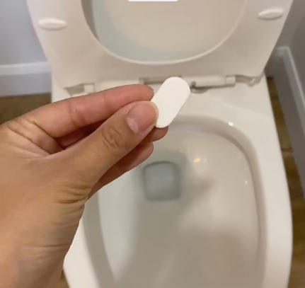 20 Toilet Bowl Cleaner Tablets
