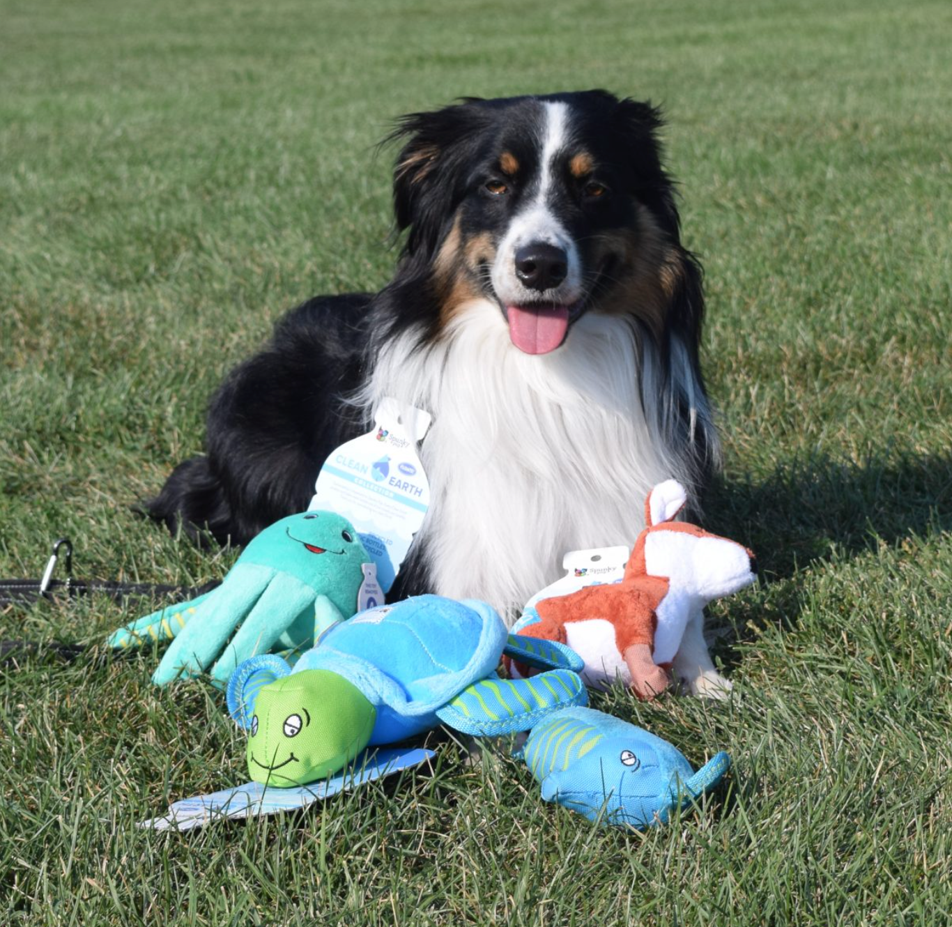 100% Recycled Dog Plush Toy