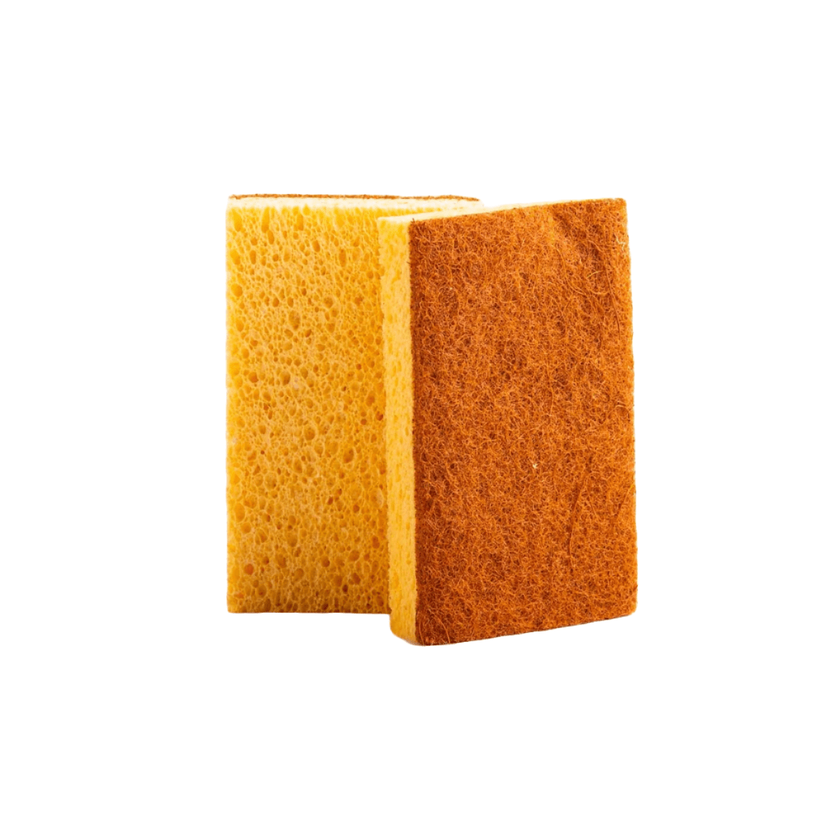 Cellulose Sponge + Coconut Scouring Pad