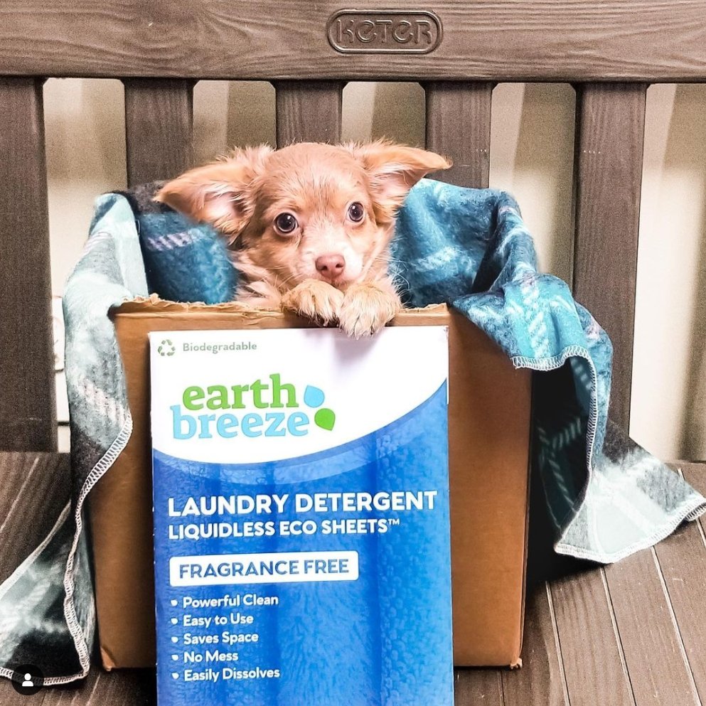 Earth Breeze Laundry Detergent Sheets with dog