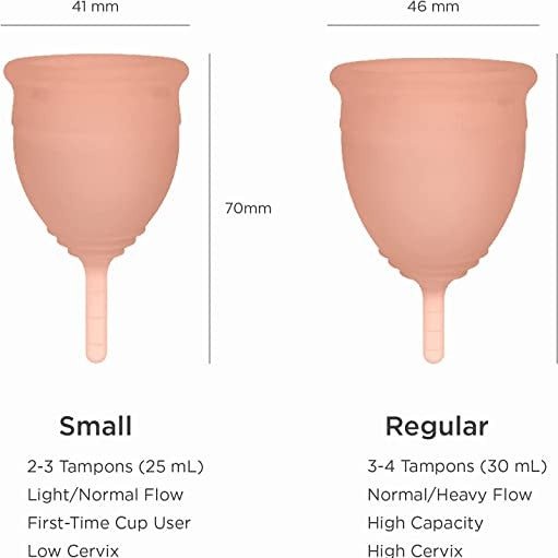 Feminy Menstrual Cup - Ecoternatives